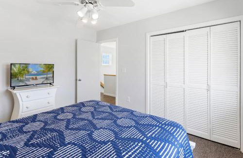 CAC-23B - Zebrafish - Foto 29