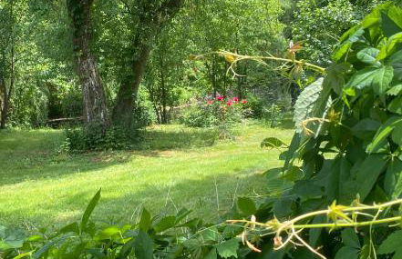 Landhaus am Schloss - Foto 41