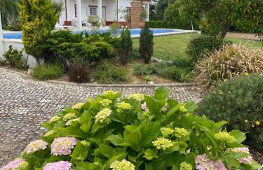 Casa do Jardim - Foto 7