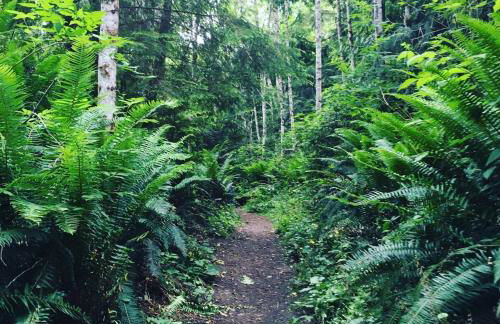 Montlake Apartments - Arboretum, UW, Husky Stadium - Foto 13