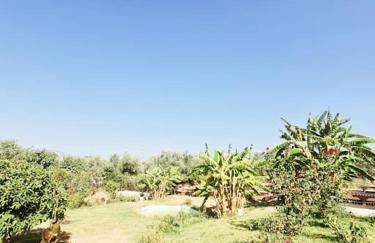 LECÉLESTE - Foto 15