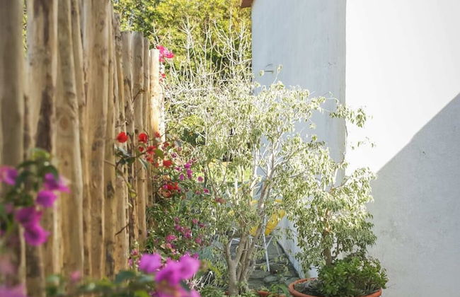 Casa Trivetia - Alentejo - Foto 38