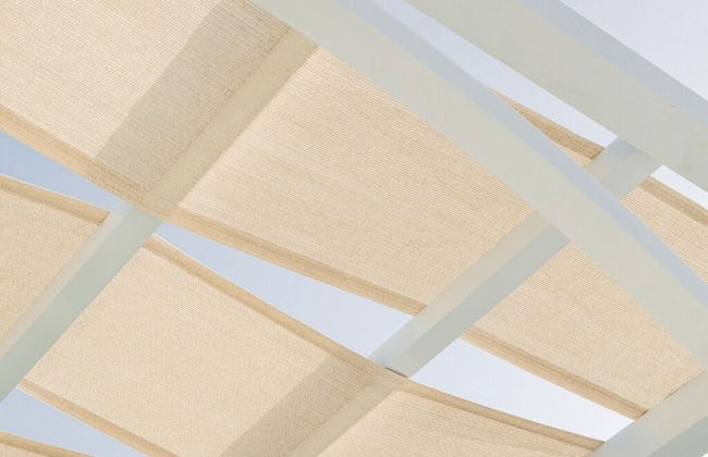 Bird Nest At Sheikh Zayed - Foto 50