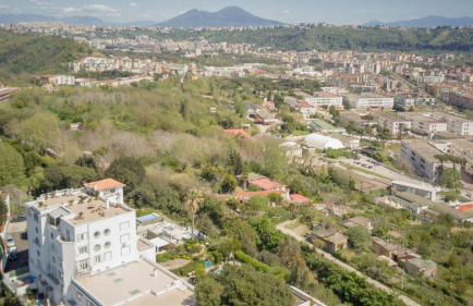 Golden Garden - Foto 20