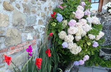 Apartment Casa Gianfrati - Foto 14