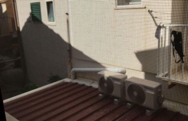 Il Veliero - Foto 27