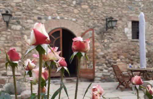 Molí dels Aubins - Foto 14