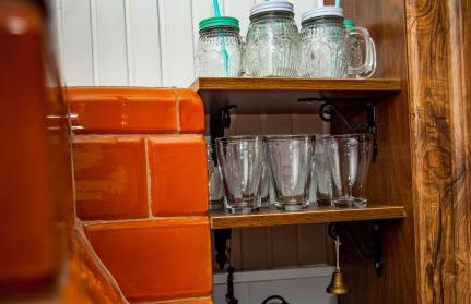 Gaja-Białowieża - Foto 10