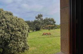 Villa Artegoikoa-Urdaibai, patrimonio de la UNESCO - Foto 17