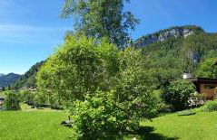 Gschwenderhaus Ferienwohnungen - Photo 36