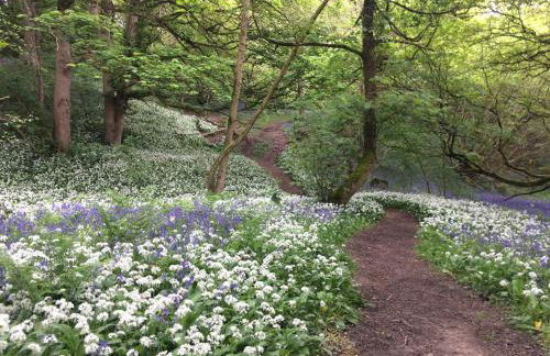 Hillside Cottage - Foto 12