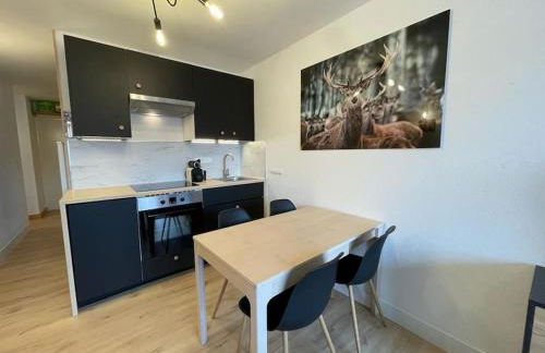 Résidence le WAALA , face aux pistes - Foto 21