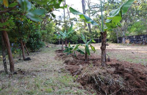 Mar D'Abstração - Photo 52