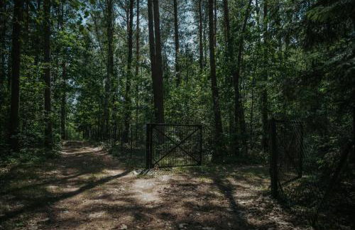 Forest Cabin - 50min od Warszawy - Foto 9