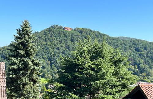 Weitblick 1 - Foto 8