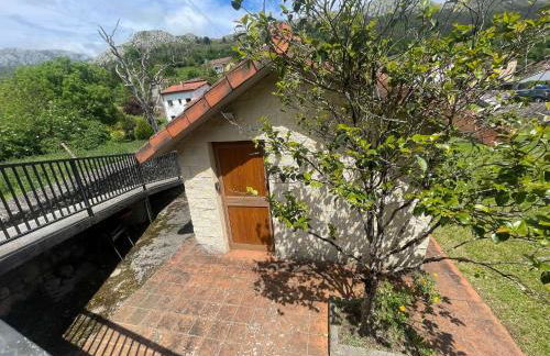 El Campón, Collía - Photo 48