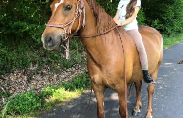 Ferienwohnung Odenwald Fernblick - Foto 36
