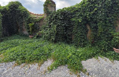 Mieszkanie w Oficynie Pałacu Goetza BRZESKO - Photo 10