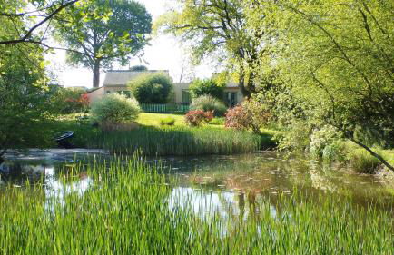 Au Jardin d'Eau - Foto 1