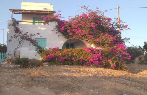 Λιογερμα - Foto 3