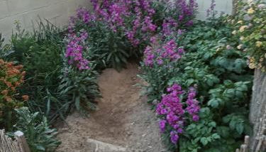 El Rincón de Triana - Foto 4, Garden