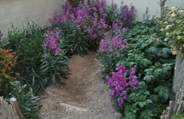 El Rincón de Triana - Foto 4