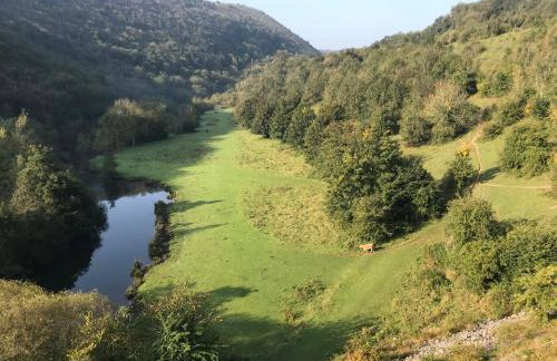 River View - Photo 31