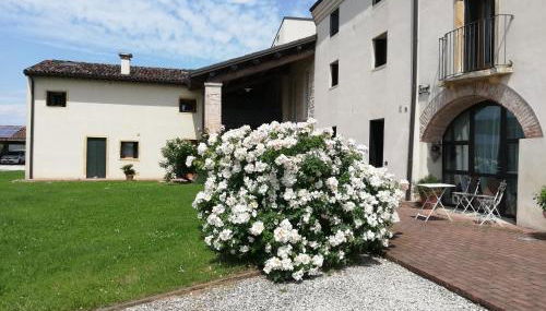 Corte Monticello - Foto 5, Garden