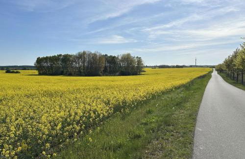 Holiday home with 2 bedrooms - Foto 18