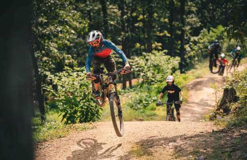 Lee Ridge Mountain Retreat - Foto 60