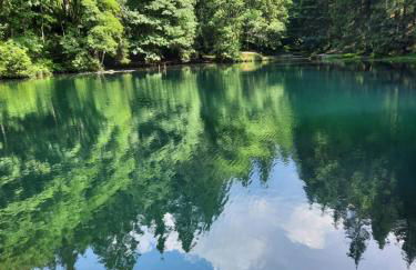 Ferienwohnung Grunwald - Foto 15