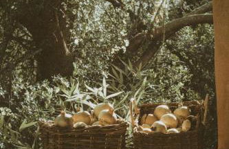 Agroturismo Can Torna AG178 - Photo 95