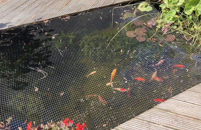 Unique Quirky Studio in Spreyton - Foto 14