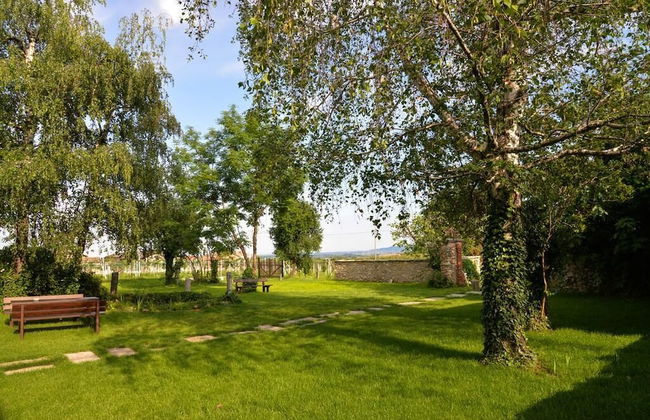 Agriturismo Magnarosa - Photo 28