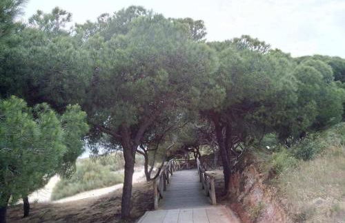 Apartamento Nuevo Portil Albatros - Foto 13