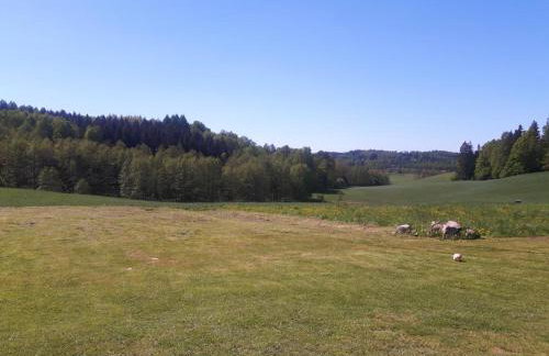 Dom na Warmii - Foto 4