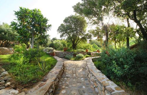 Captain Ikaros - Foto 38