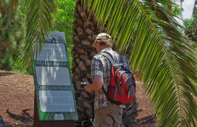 "Pyramiden von Güímar Eintritt PREMIUM Ticket" - Foto 21