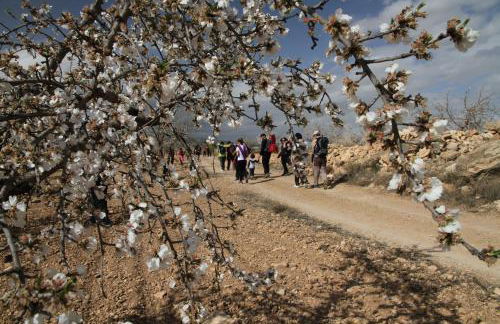 Alojamientos Rurales Cortijo Las Golondrinas - Foto 38