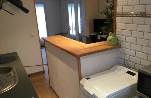 Studio fond de jardin - Foto 11