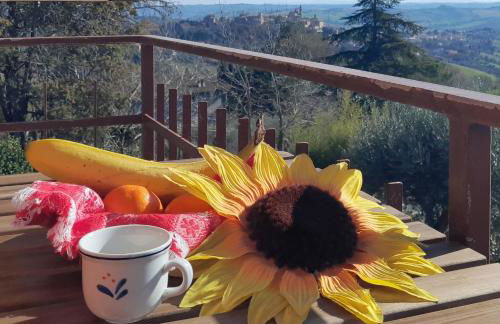 Le Rondini - Foto 10