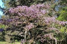 Moulin de charme - Photo 47