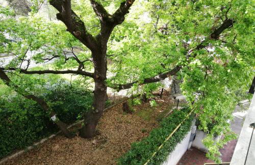 Sole & Querce Apartments- Bike Friendly with garage - Foto 51