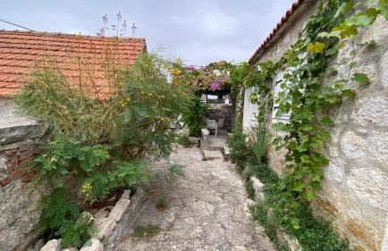 Villa rustica bougainvillea - Foto 3