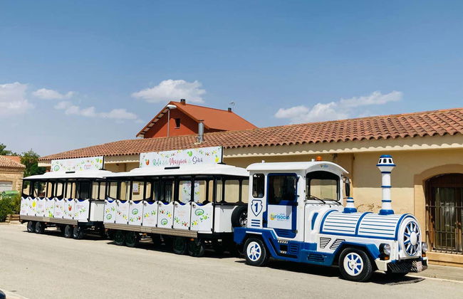 Tour in Burgo de Osma-Ciudad de Osma - Foto 7