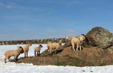 Creber Cottage - Foto 34