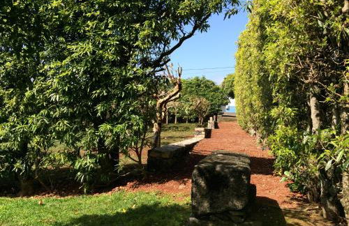 Quinta de Santa Clara - Photo 61