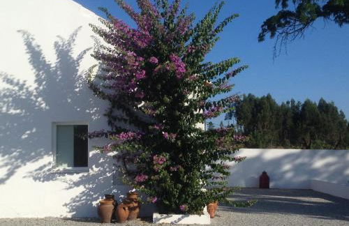 Monte das Texugueiras - Foto 14