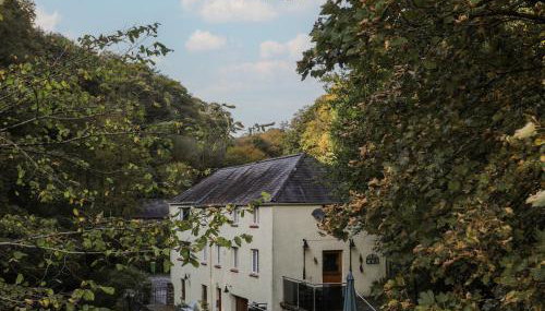 Melin y Coed - Foto 4