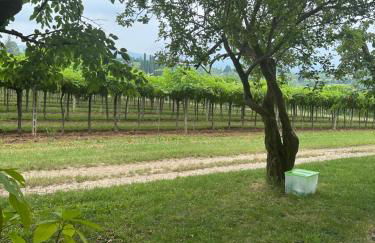 Agriturismo Fioravante di Fioravante Antonio - Foto 12